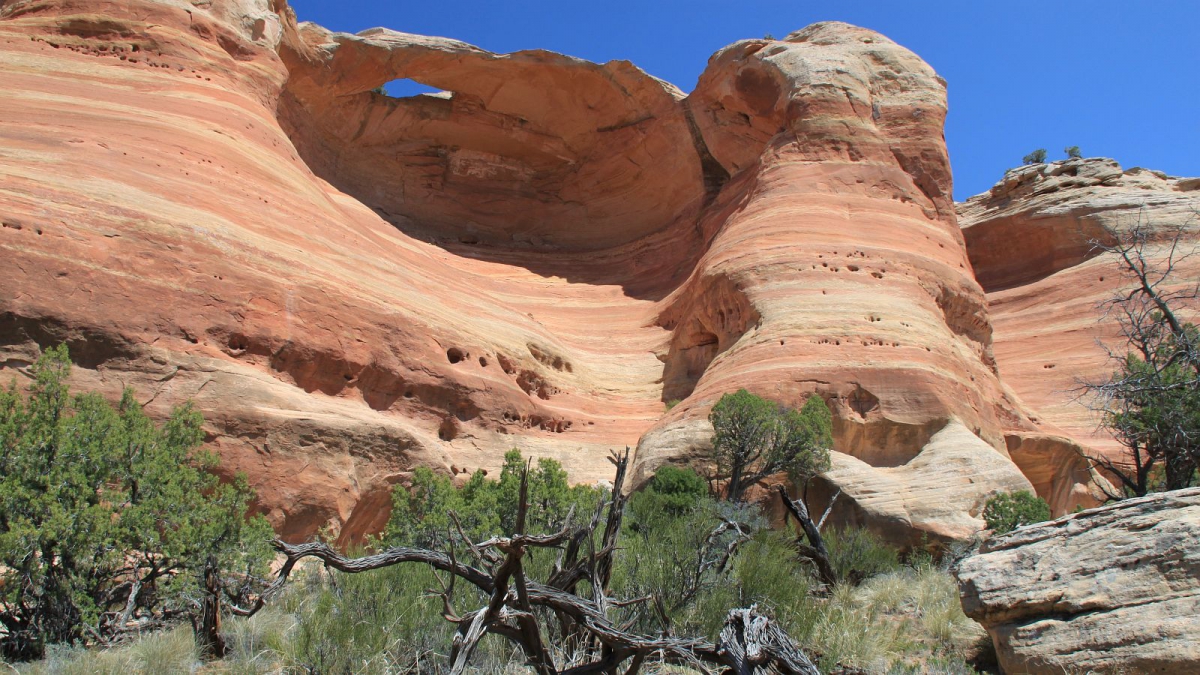 Rattlesnake Arches – McInnis Canyons National Conservation Area – Colorado