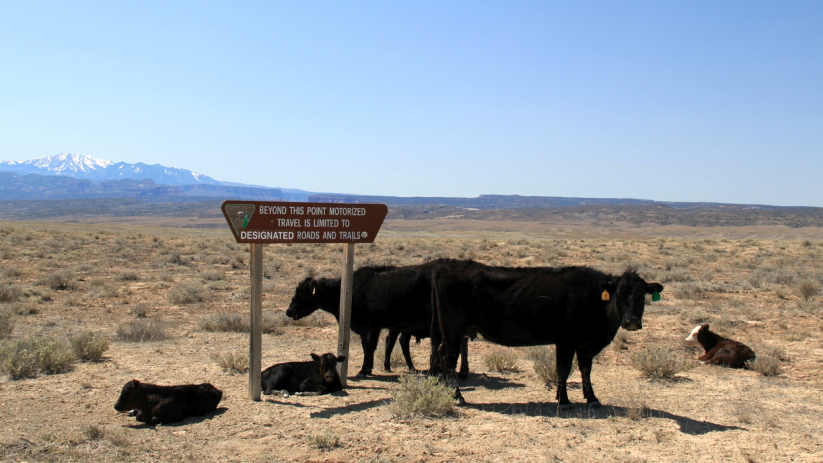 Gost Town Cisco – Utah