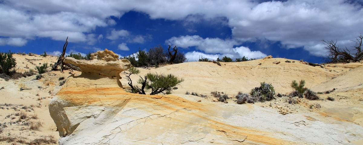 Ojito Wilderness - New Mexico