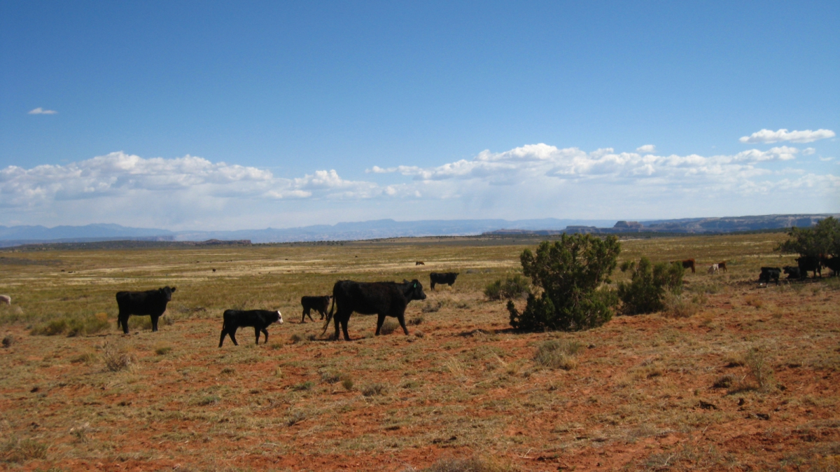Schafer Trail – Canyonlands National Park – Utah