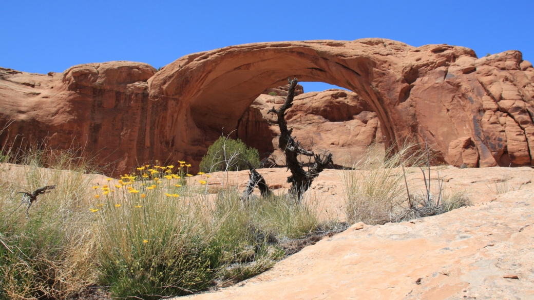 Pritchett Arch, magnifique et immense. Elle se trouve à proximité de Moab, dans l'Utah.