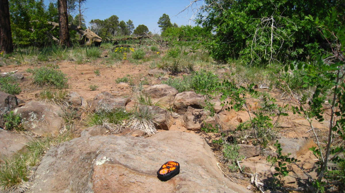 Wilson Mountain – Sedona – Arizona