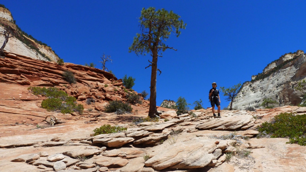 Marie-Catherine du côté de la Checkboard Mesa. À Zion National Park, dans l'Utah.