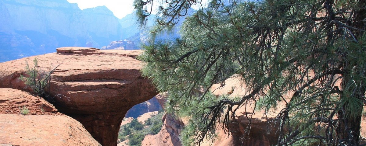 Boynton Canyon Backyard