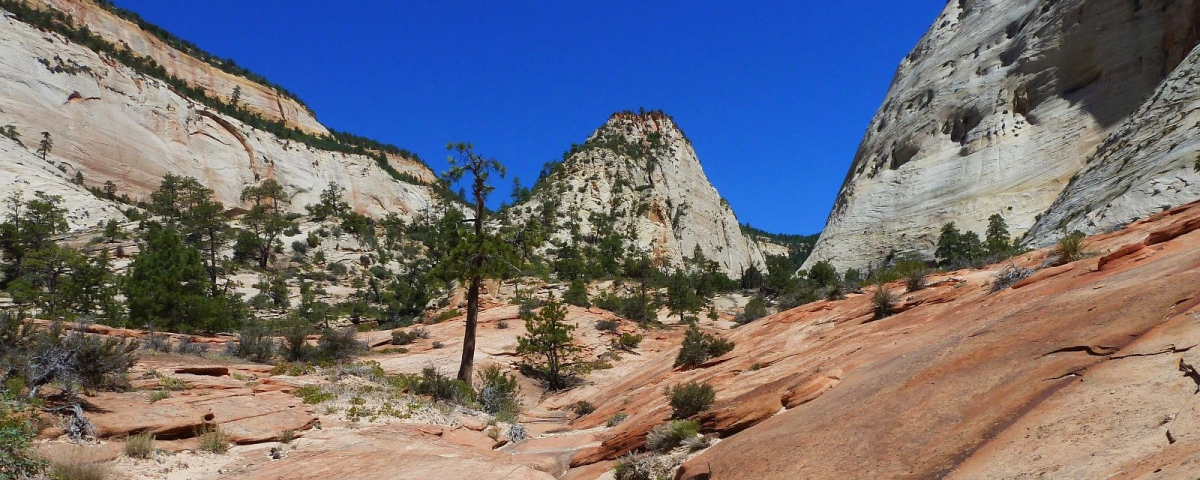 Checkerboard Mesa