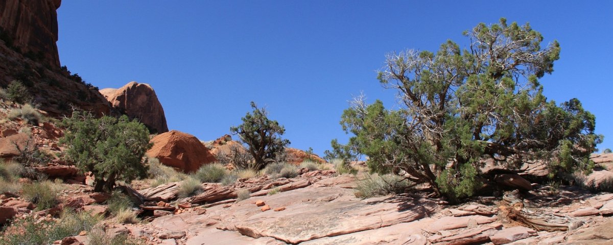 Portal Overlook