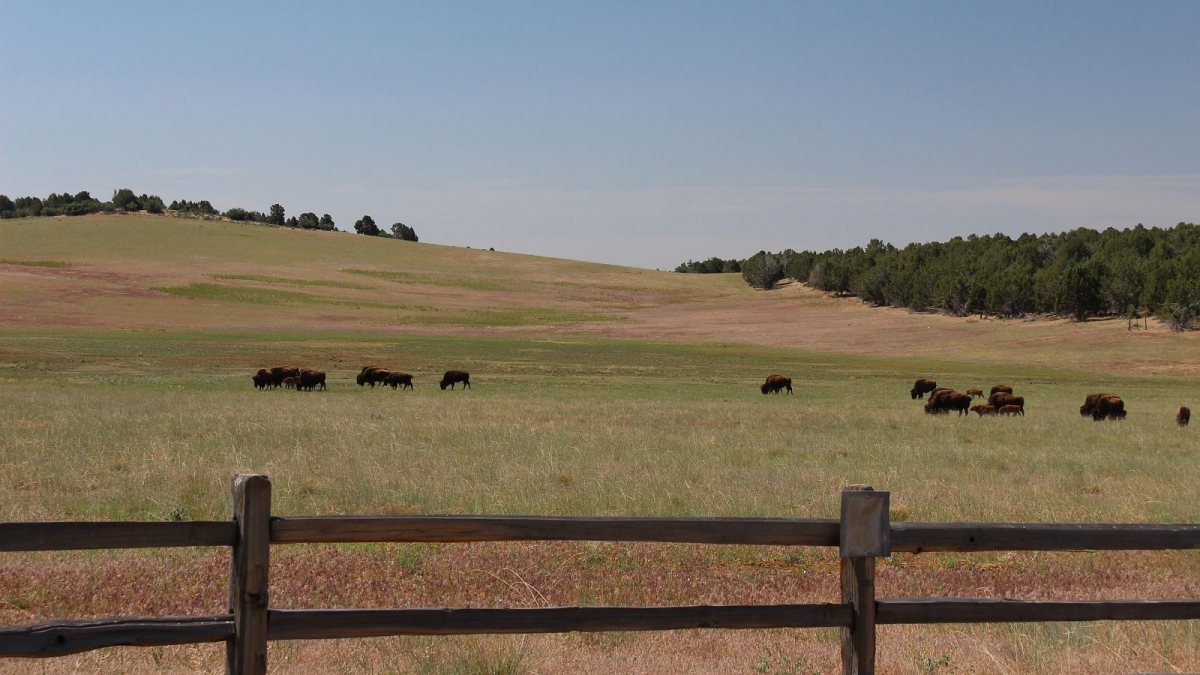 Zion Mountain Ranch – East Zion National Park – Utah