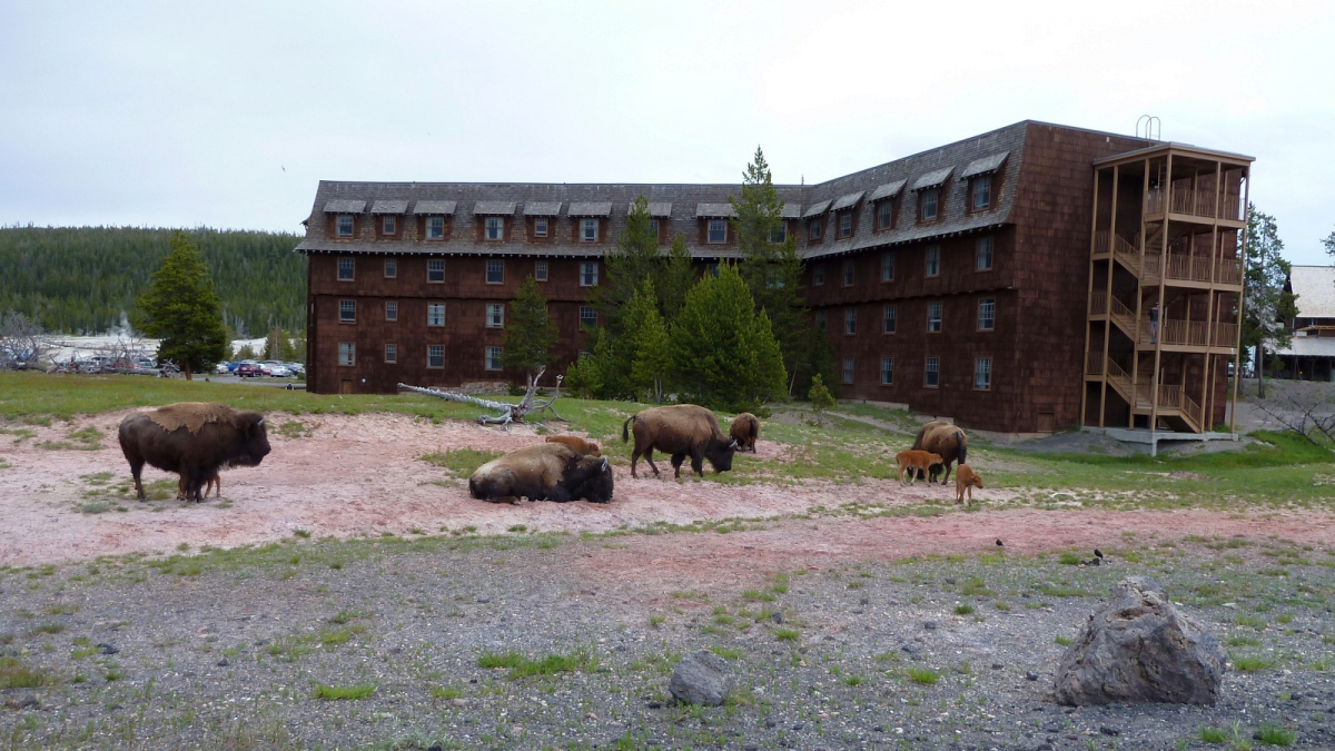 Old Faithful Inn – Yellowstone National Park – Wyoming