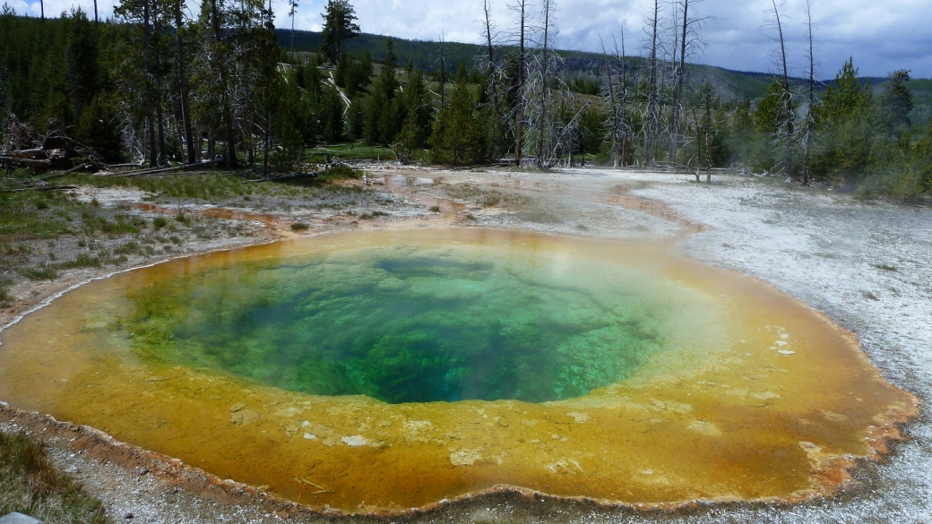 Morning Glory Pool, dans le Upper Geyser Basin, pas loin du Old Faithful. À Yellowstone National Park.