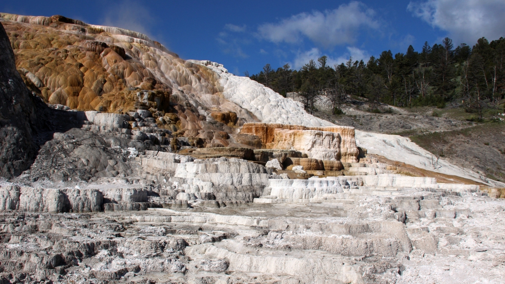 Palette Spring Terraces, à Mammoth Hot Springs, côté nord de Yellowstone National Park.