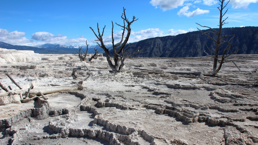 En allant vers Canary Spring, à Mammoth Hot Springs, Yellowstone National Park.