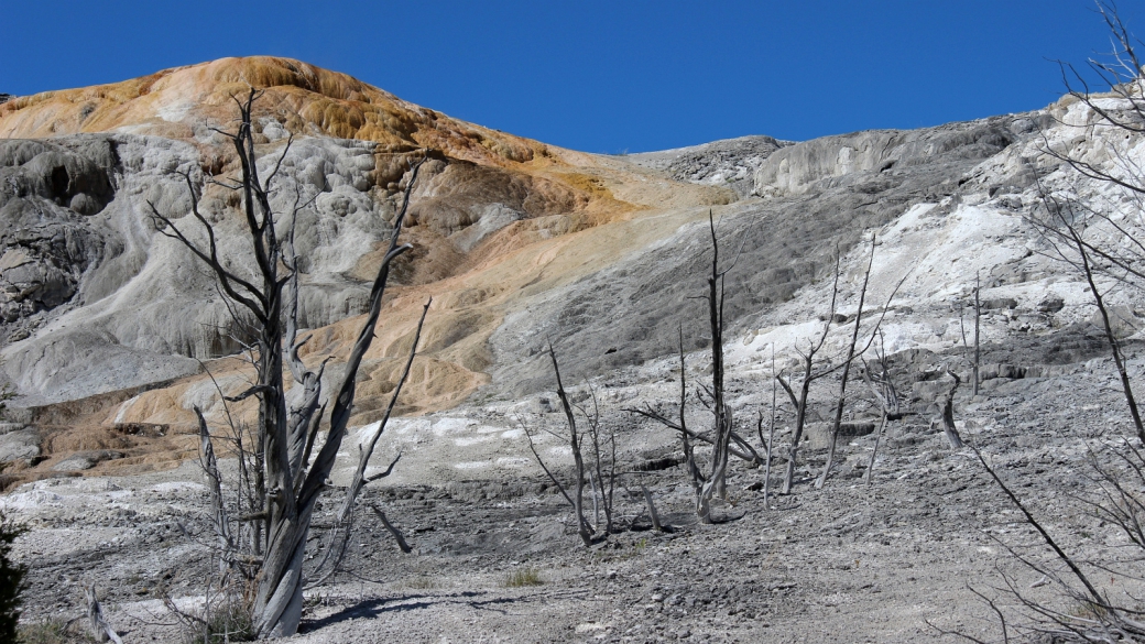 Jupiter Spring à Mammoth Hot Springs, Yellowstone National Park.