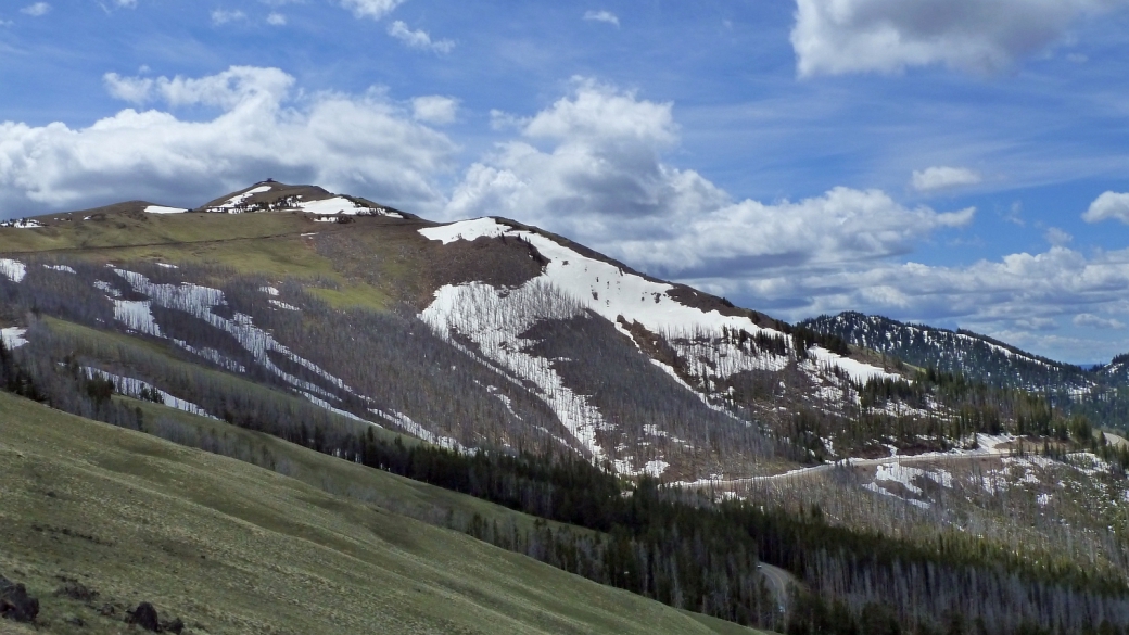 Vue sur le sommet du Mount Washburn, à Yellowstone National Park.