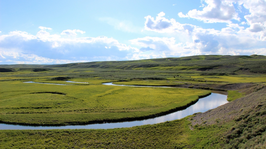 Vue sur Hayden Valley, une immense prairie que parcourt la Yellowstone River. À Yellowstone National Park.