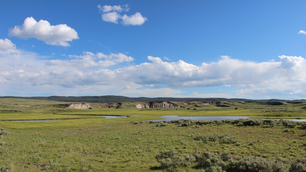 Autre vue sur Hayden Valley, cette immense prairie que parcourt la Yellowstone River. À Yellowstone National Park.