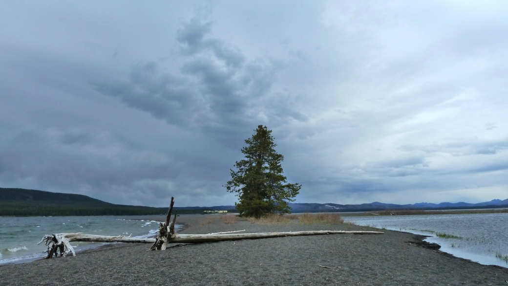 Gull Point, sur le bord du lac Yellowstone, pas loin de Bridge Bay Marina. À Yellowstone National Park.