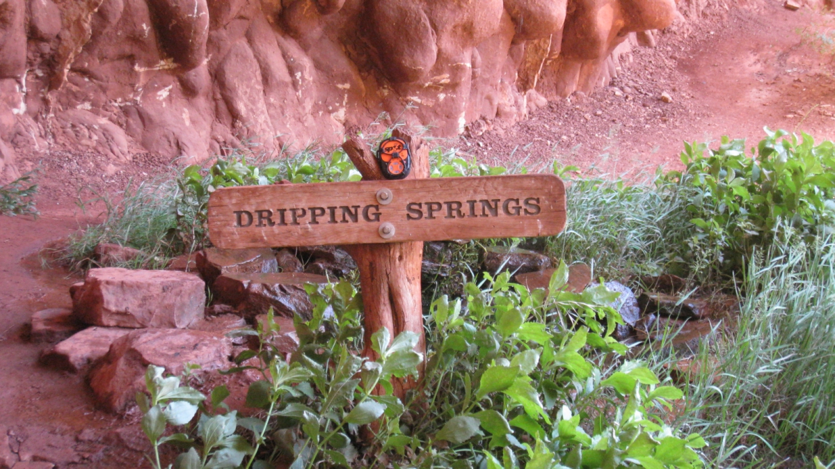 Dripping Spring – Grand Canyon National Park – Utah