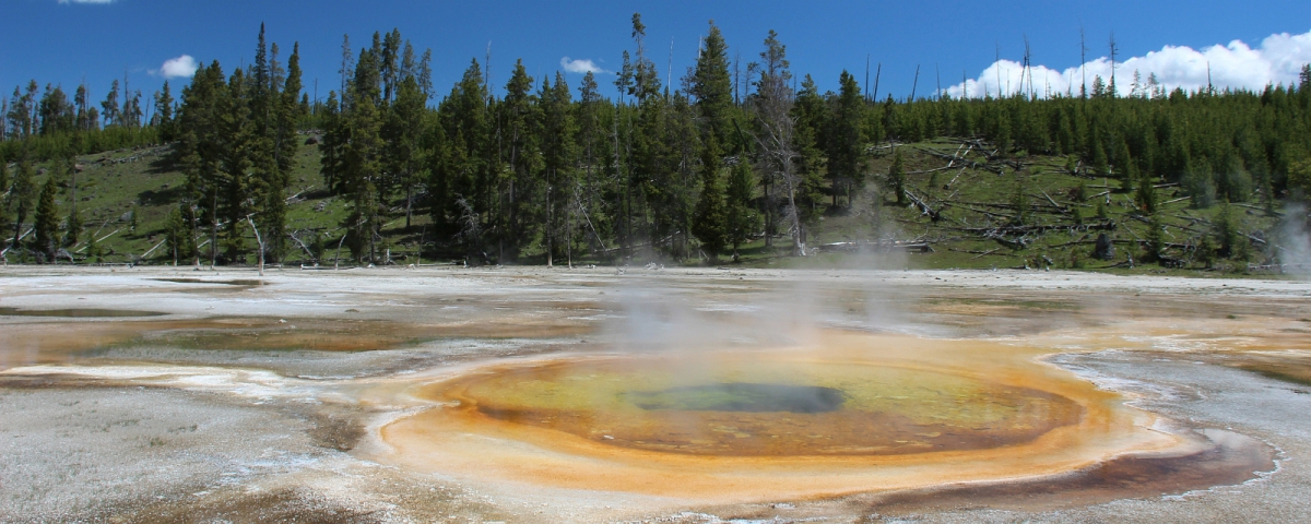 Quelque parts dans le Upper Geyser Basin, pas loin du Old Faithful. À Yellowstone National Park.