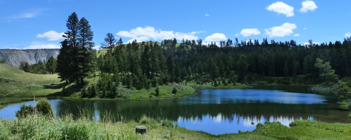 Beaver Ponds