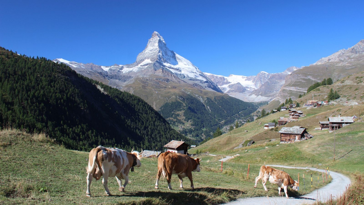 Findeln – Valais – Suisse