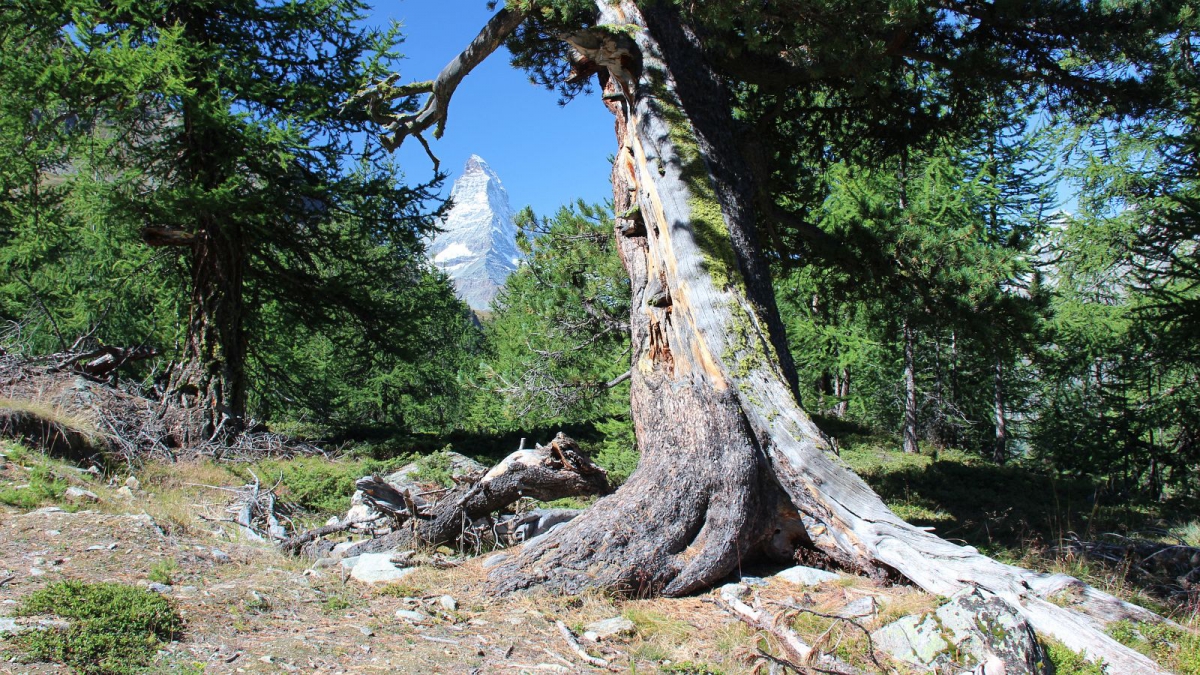 Mont Cervin – Valais – Suisse