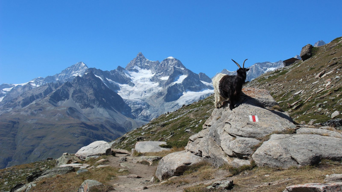 Stellisee – Valais – Suisse
