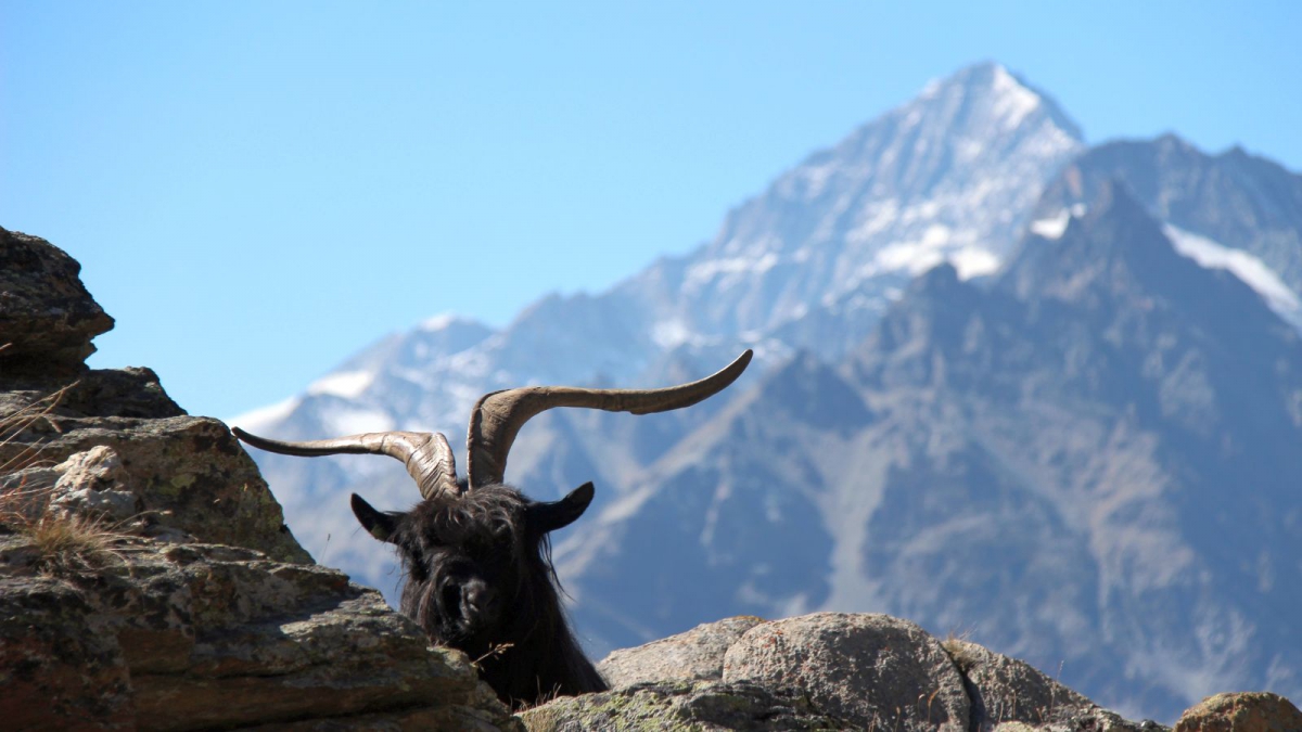 Stellisee – Valais – Suisse