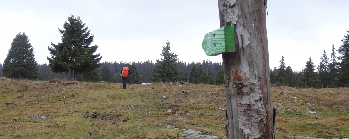 L’ancien pâturage du Grand Pré