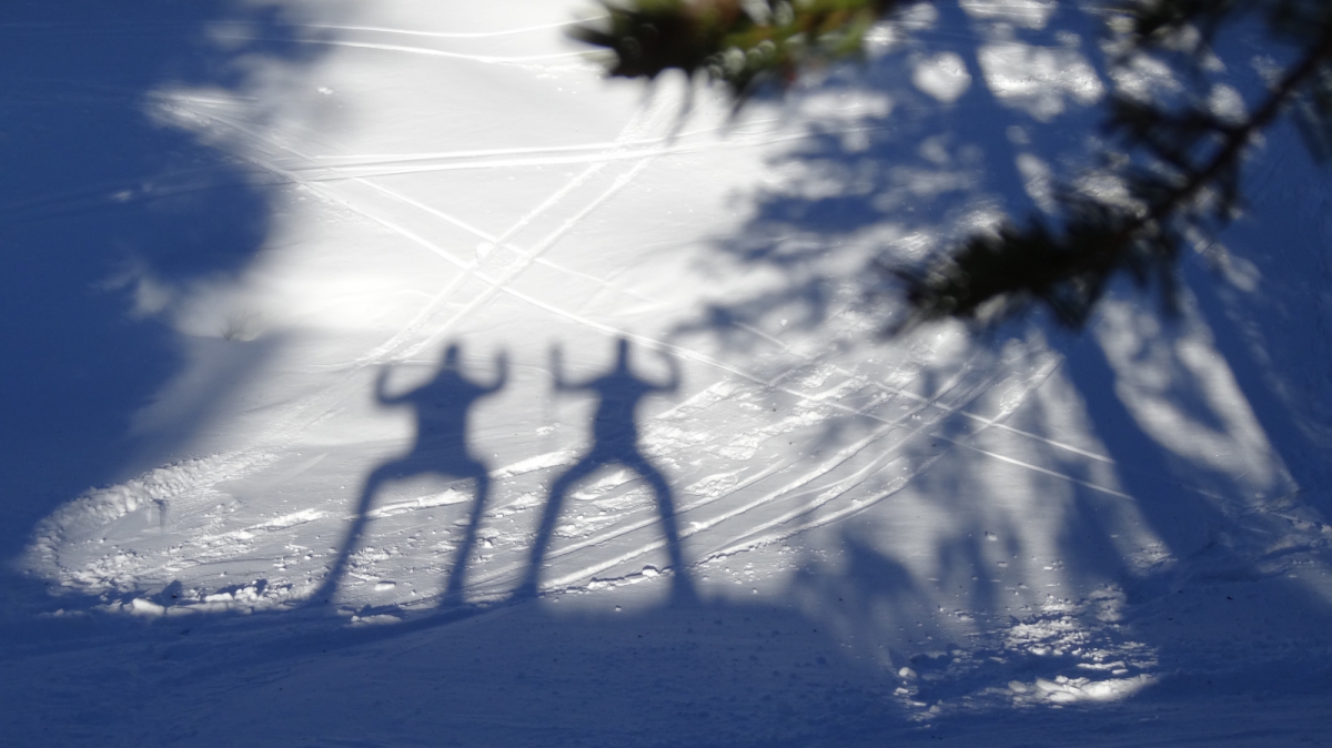 En marchant vers la Dôle – Vaud – Suisse