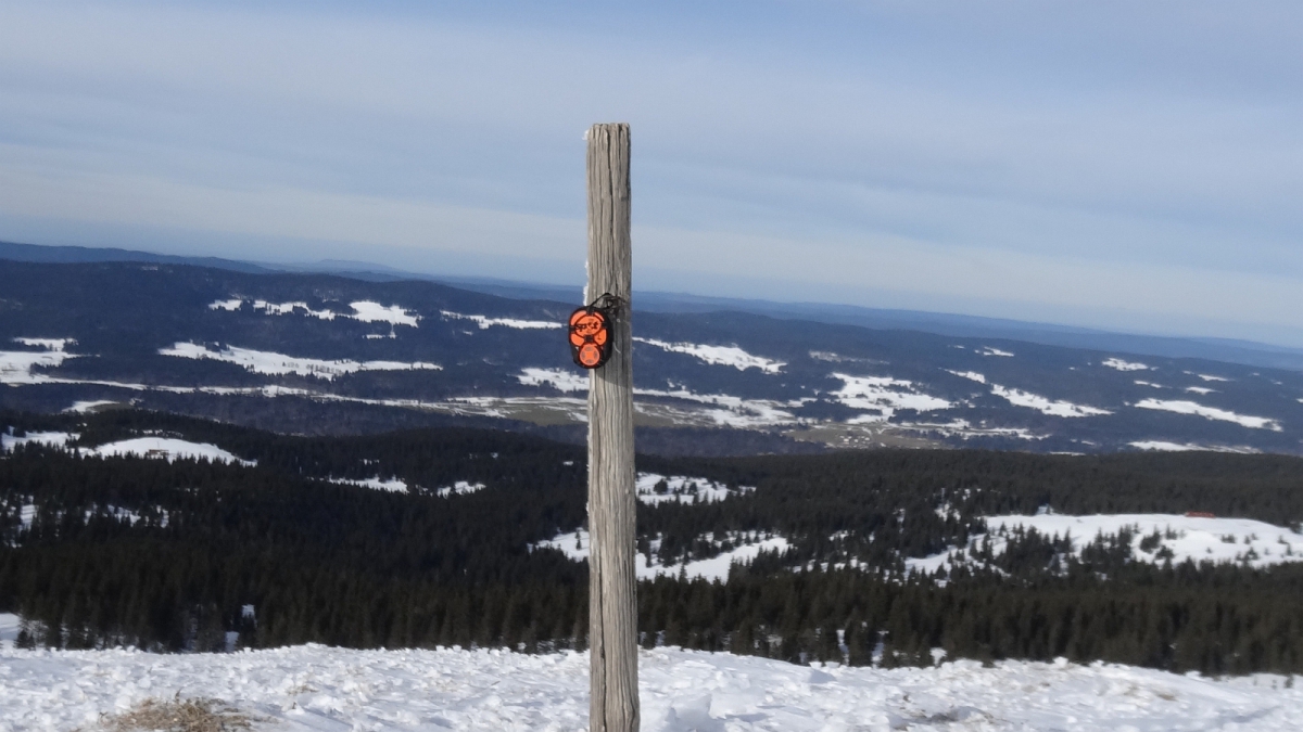 Mont Tendre – Montricher – Vaud – Suissee