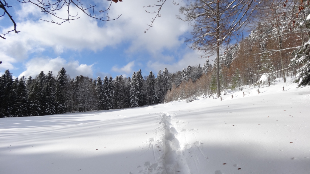 Les Prés de Joux