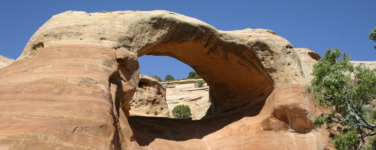 Rattlesnake Arches