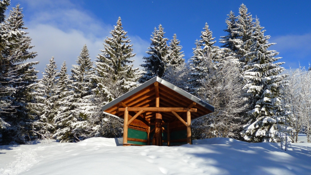 Sapin à Siméon