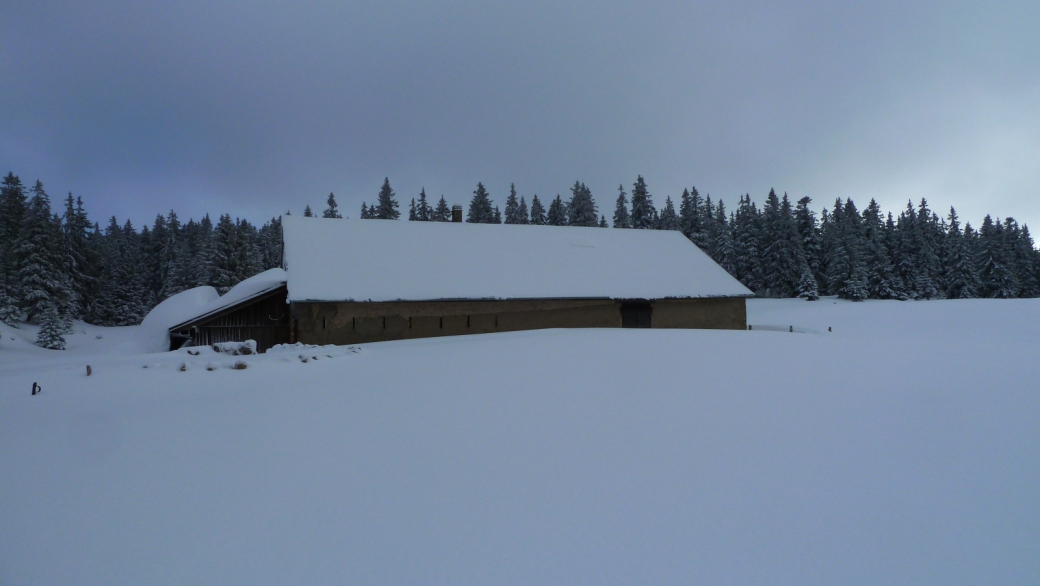 Chalet de la Neuve