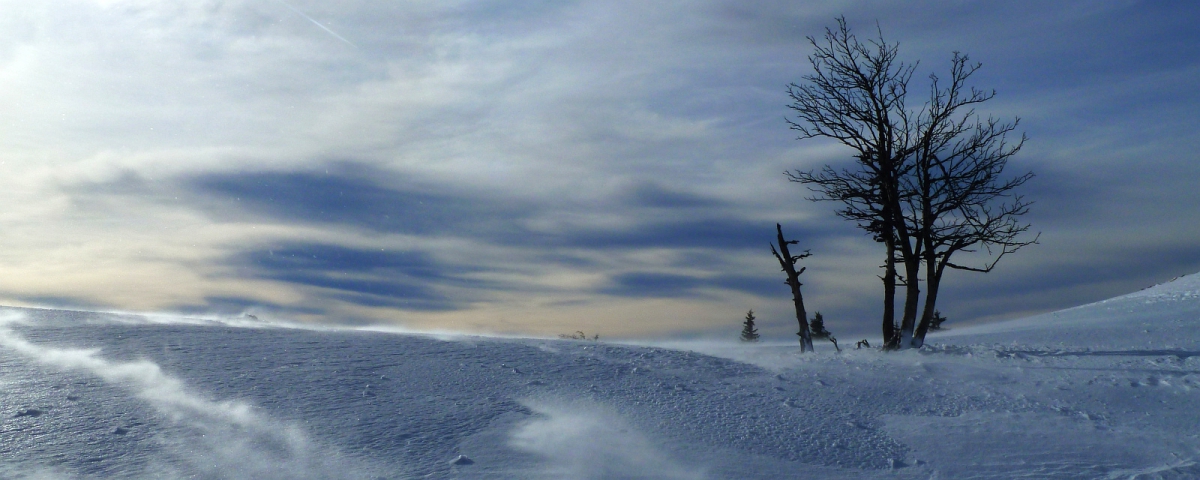 Le Mont Tendre