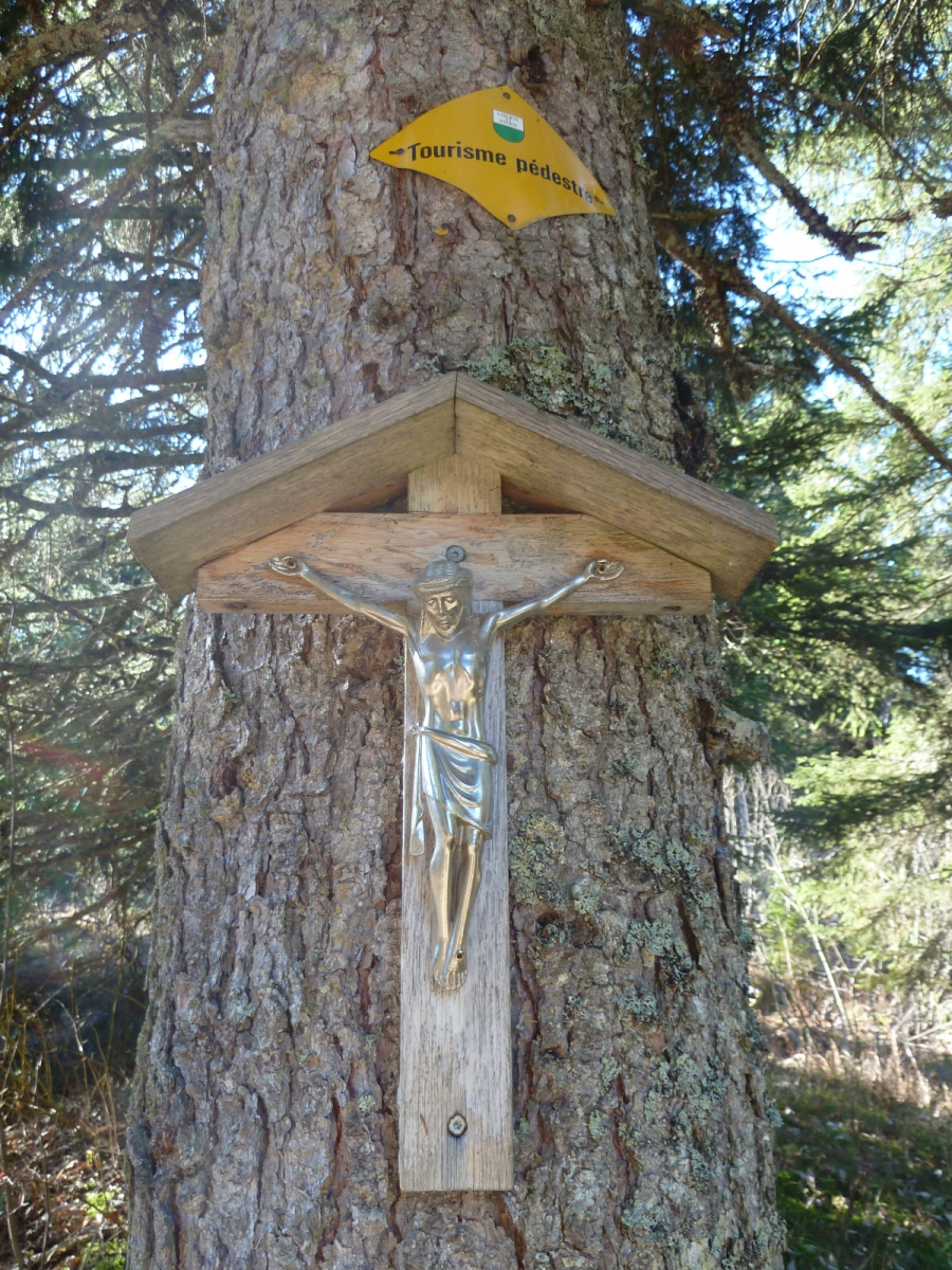 Col du Marchairuz – Gimel – Vaud – Suisse
