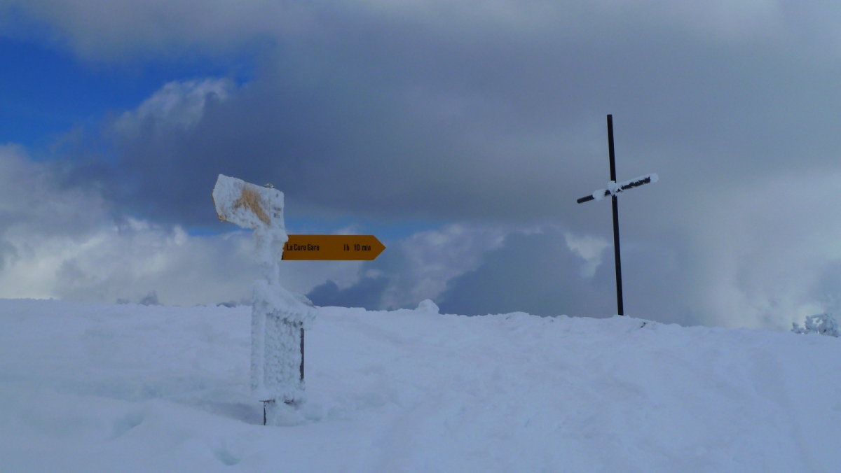 Le Noirmont – Arzier-Le Muids – Vaud – Suisse