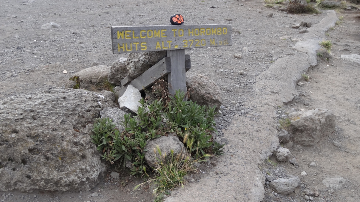 Horombo Huts – Mount Kilimanjaro National Park – Tanzania