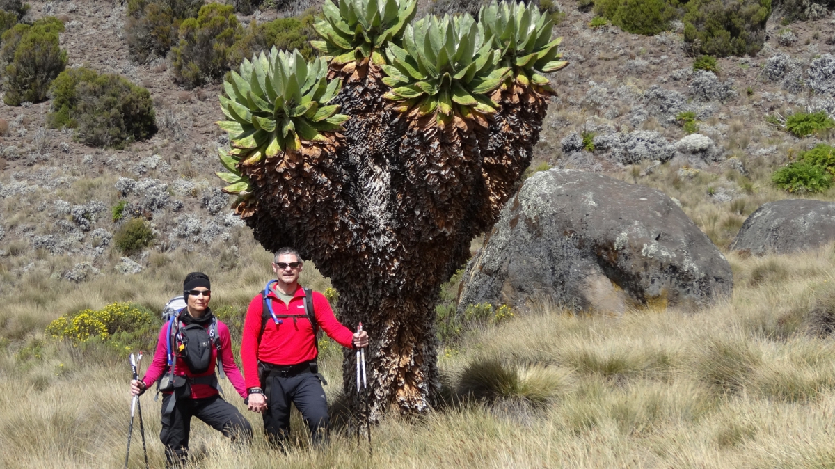 Zebra Rocks – Mount Kilimanjaro National Park – Tanzania
