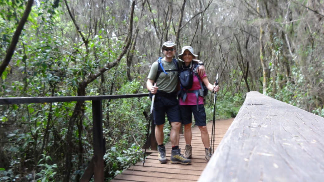 Manara Huts Trail - Mount Kilimanjaro National Park - Tanzania