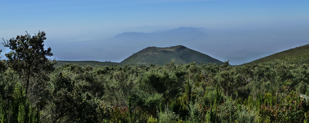 De Horombo à Marangu Gate