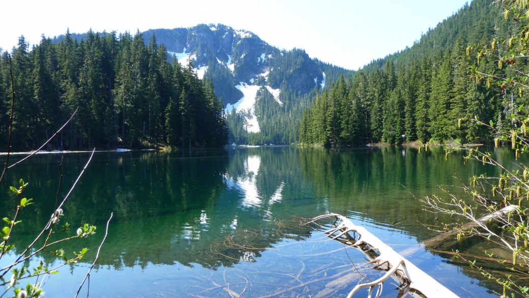 Vue sur le Lake George, au Mount Rainier National Park.