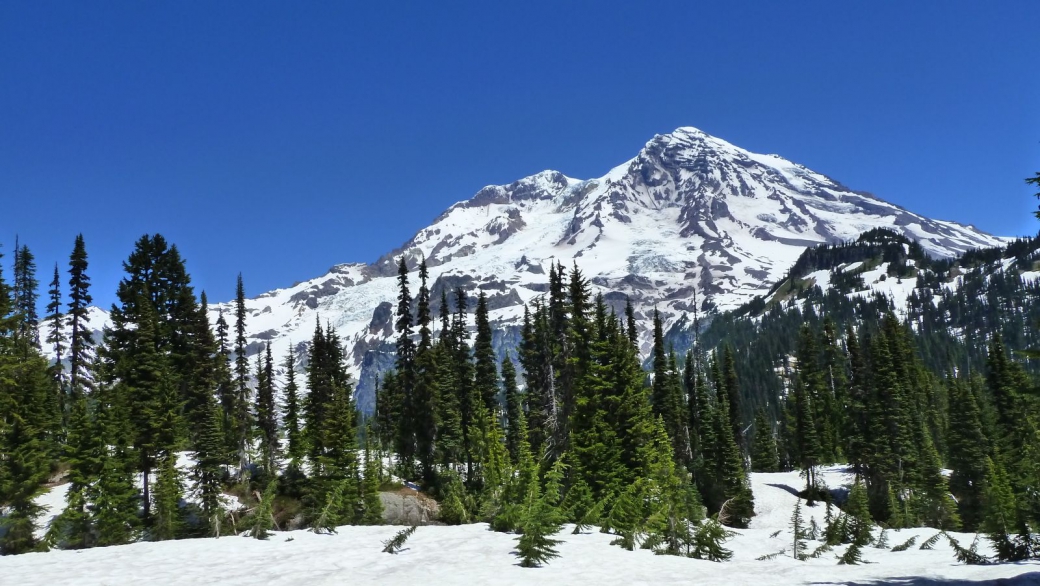Le Mont Rainier vu depuis Indian Henry's Hunting Ground.