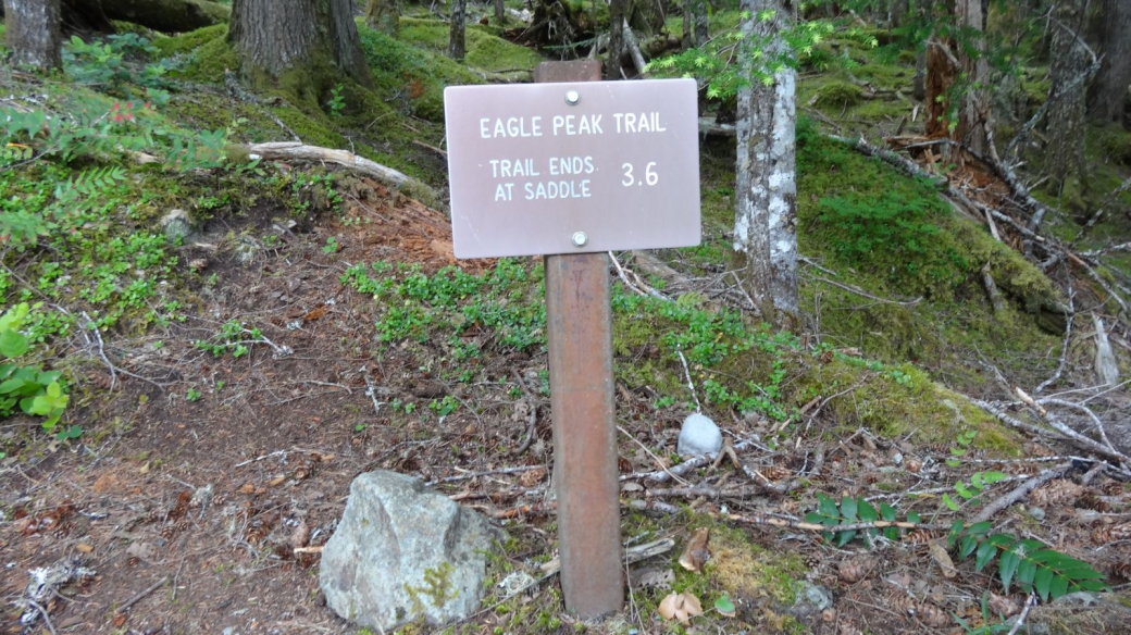 Panneau su départ du Eagle Peak Trail, au Mount Rainier National Park.