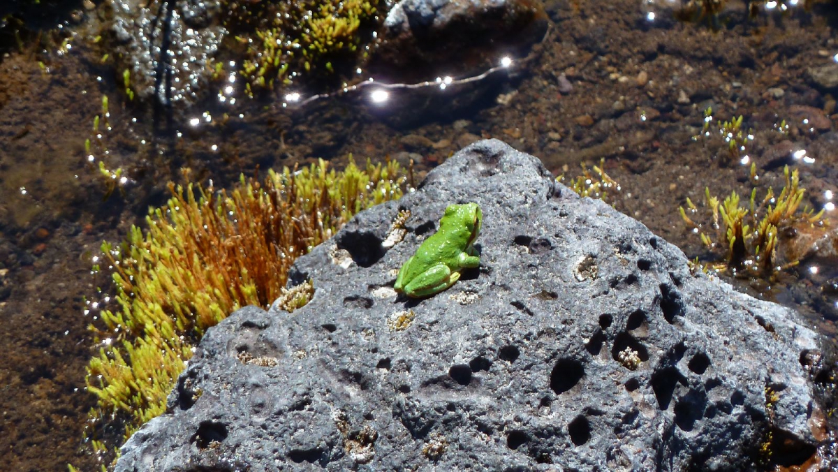 Loowit Falls – Mount St Helens National Volcanic Monument – Washington