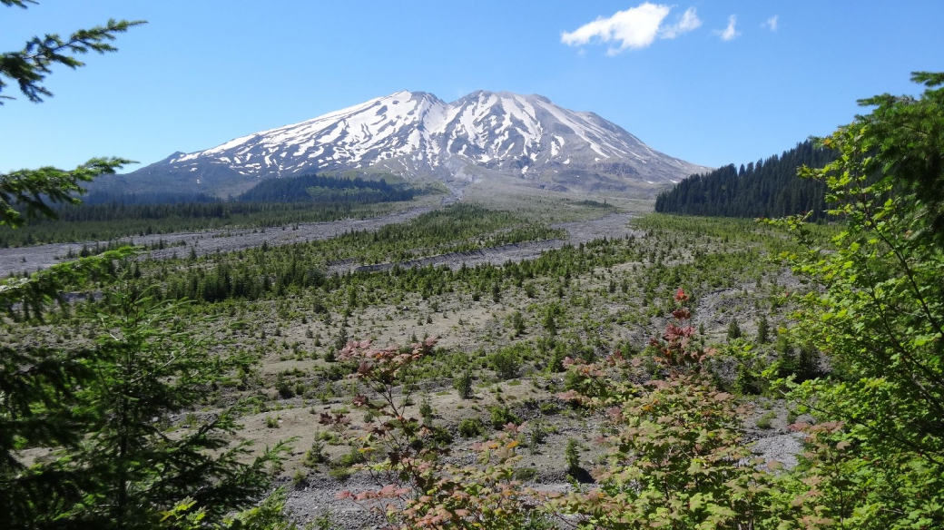 Belle vue sur la face sud du Mont Saint Helens, depuis le bas de Ape Canyon et le lahar de le Muddy River.