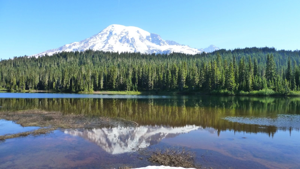 Mont Rainier qui se reflète dans l'eau des Reflection Lakes. Au Mount Rainier National Park, Washington.