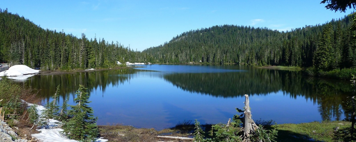 Superbe vue sur Reflection Lakes, au Mount Rainier National Park.