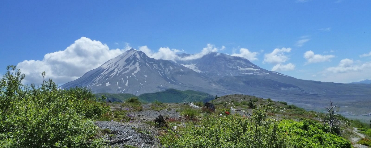 Windy Ridge