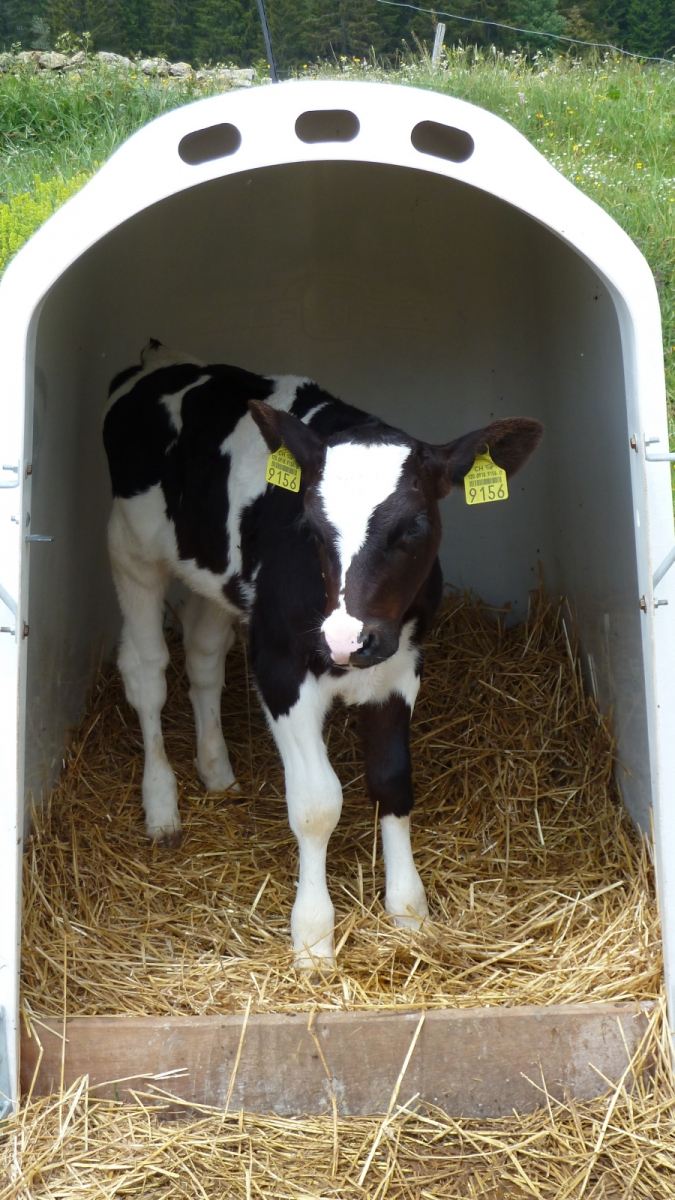 Les Coppettes – Arzier-Le Muids – Vaud – Suisse